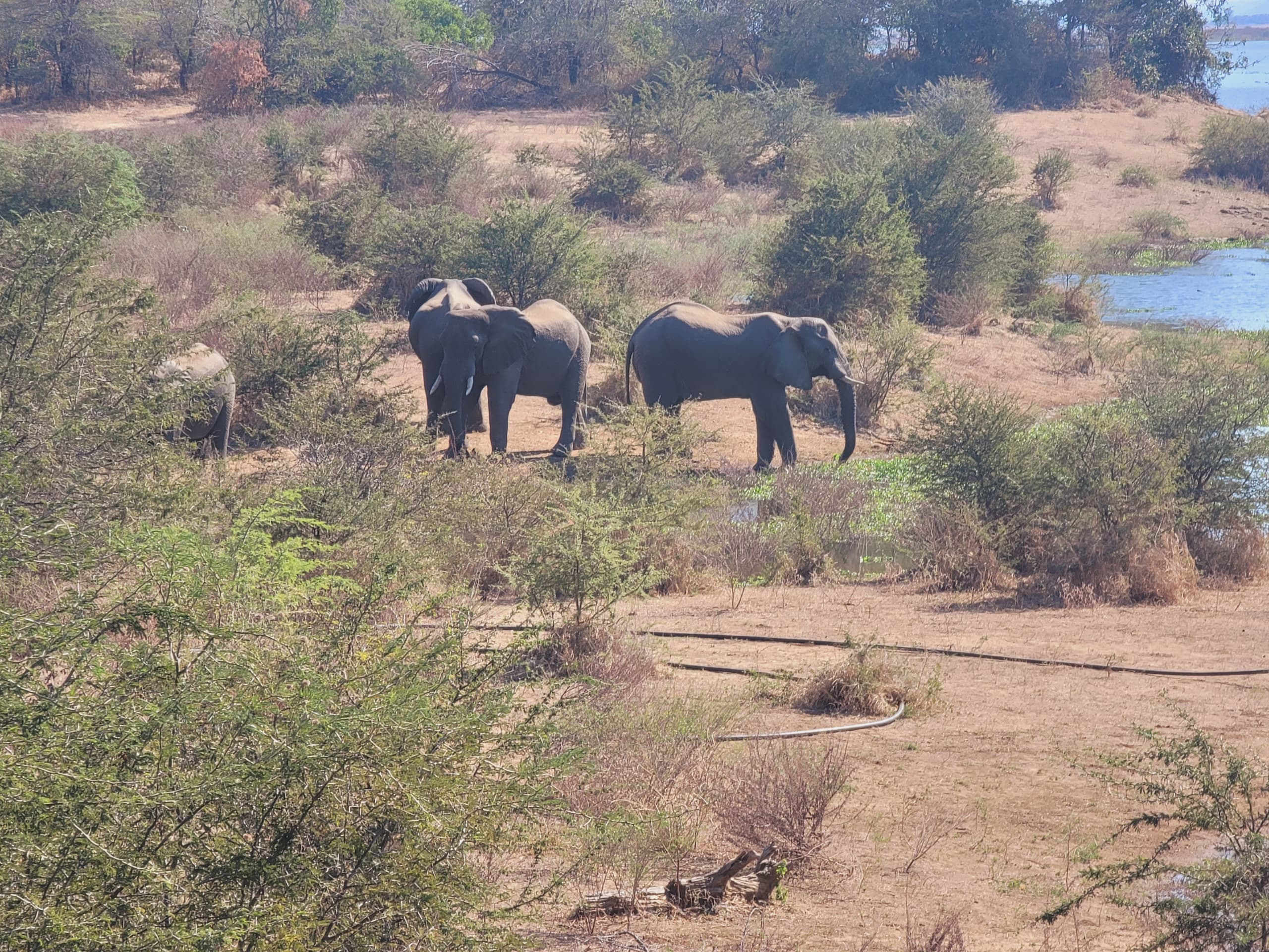 Nature walk trail in Kariba