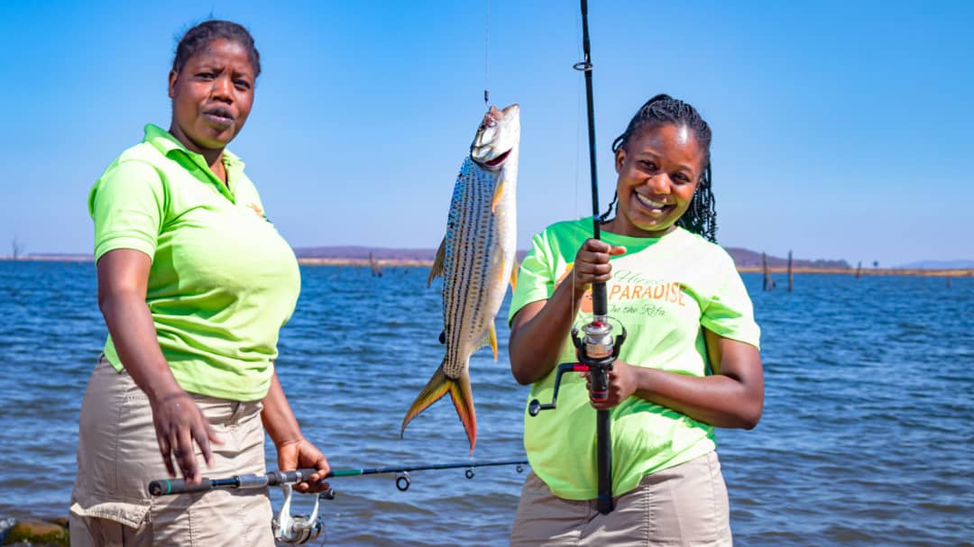 The Thrill of Tiger Fishing