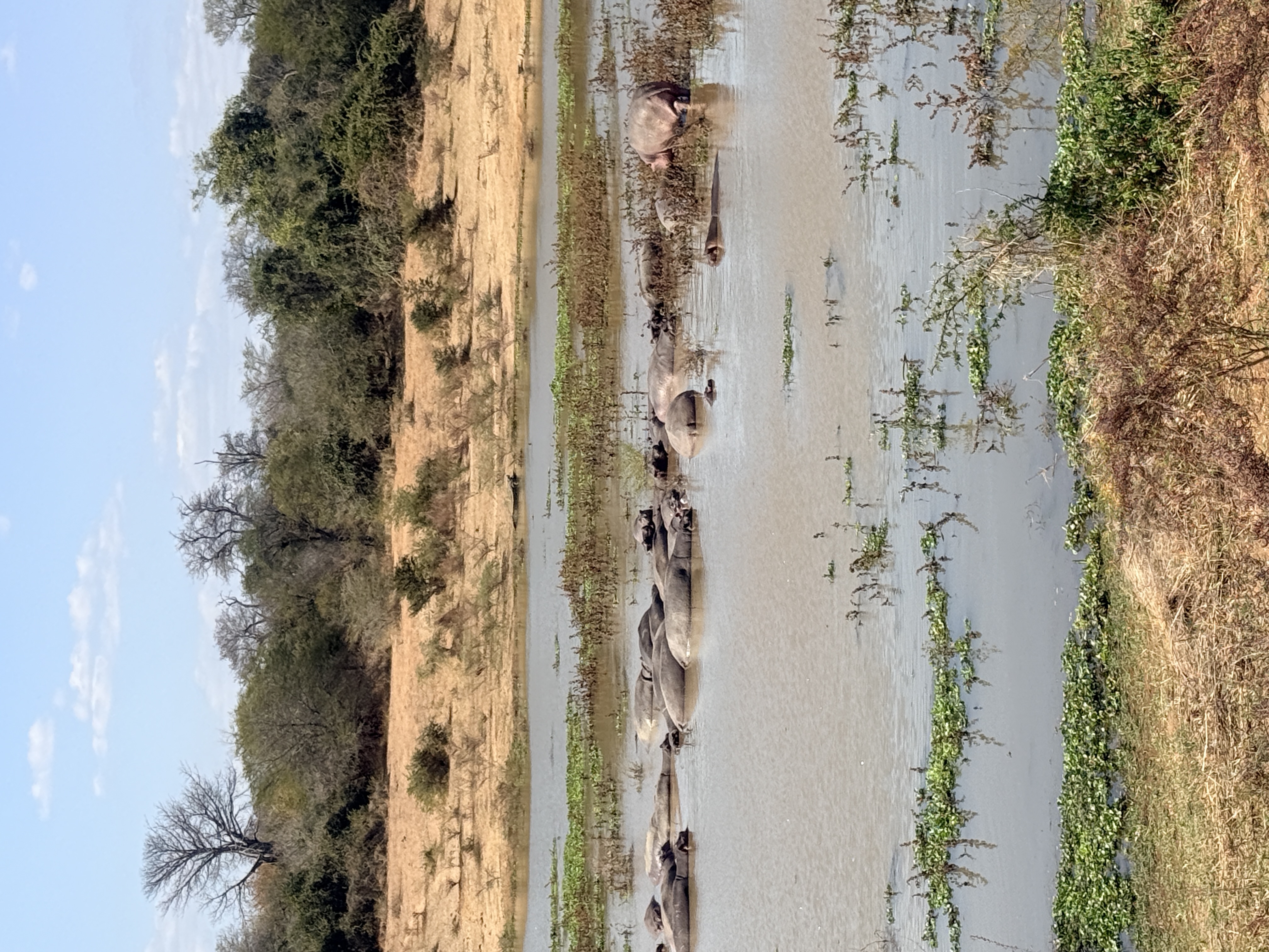 Hippo Paradise Safari Lodge experience