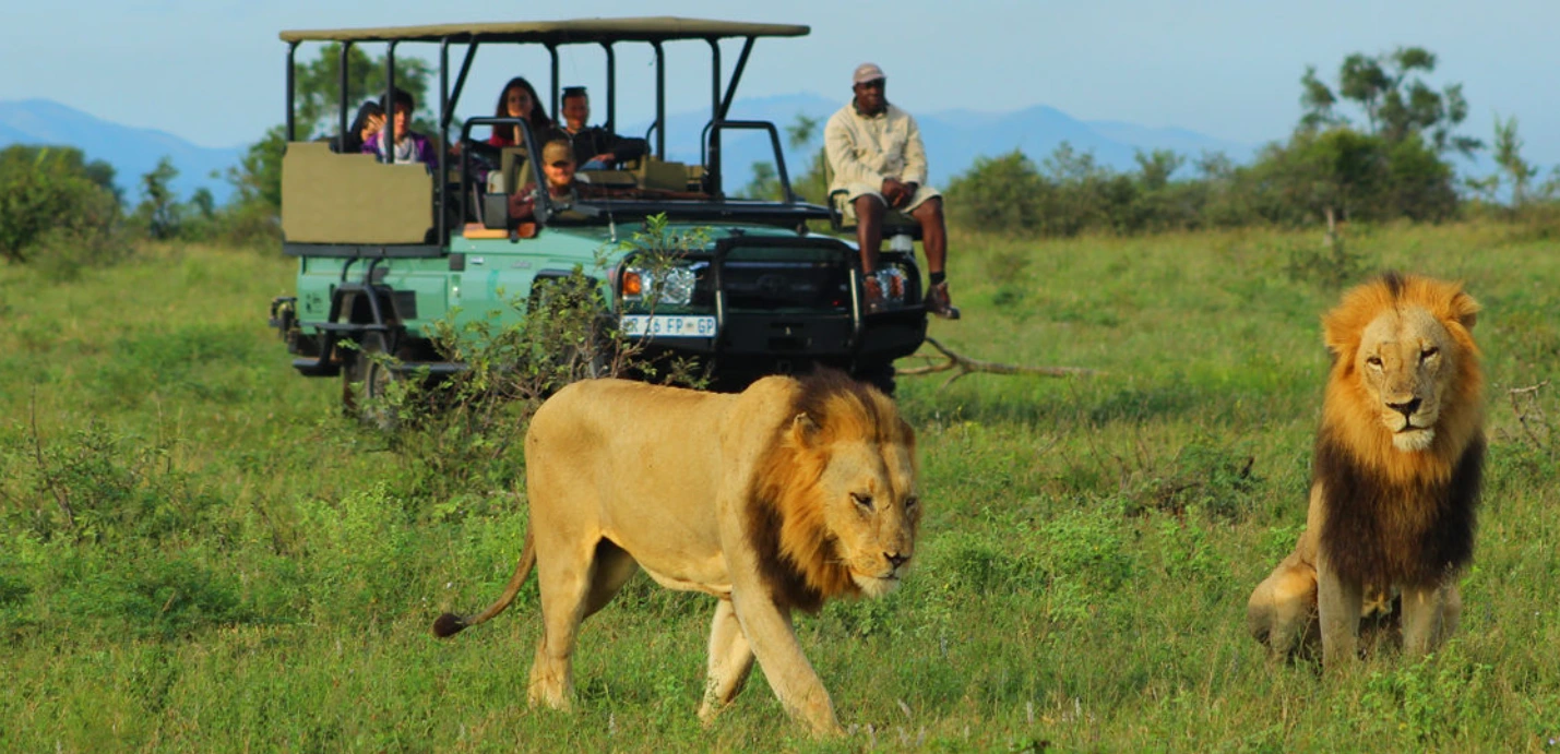 Game Drives