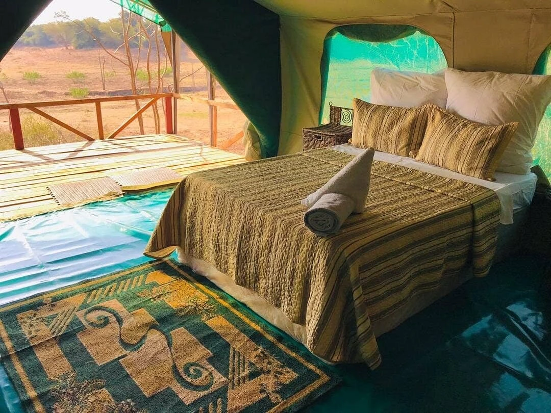 Safari Tents